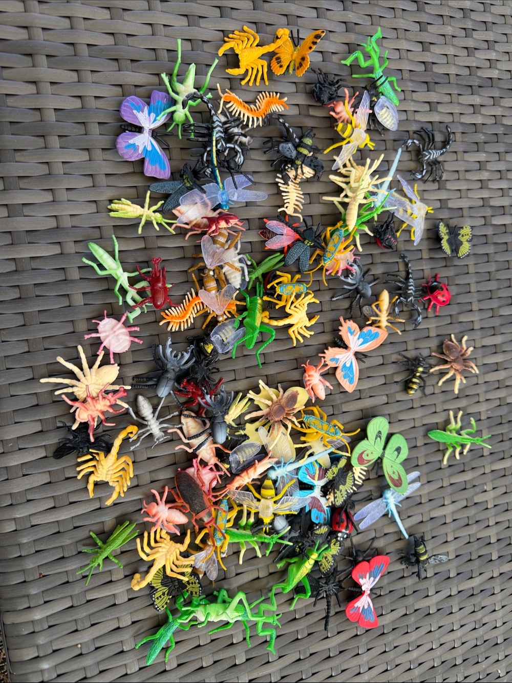 Assorted Colorful Kids Toy Insects and Bugs - Pack